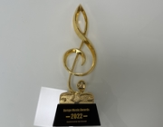 Van de de Medaille Zilveren Trofee van het herinneringsmetaal Gouden de Douanedruk Logo Laser Engrave Text
