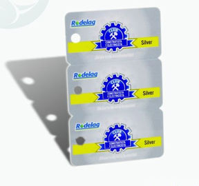 Unieke Vierkante Plastic pvc-Visitekaartjes 3 in-1 0.3mm1.0mm Dikte