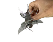 Materiaal van het de Vlekstaal van Adult Metal Puzzle van het Diy 3D Insect Model